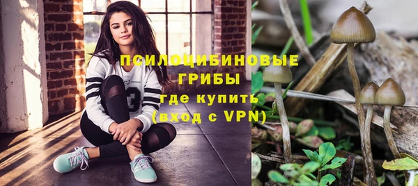 a pvp Киренск
